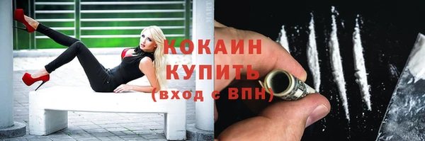 дживик Карпинск