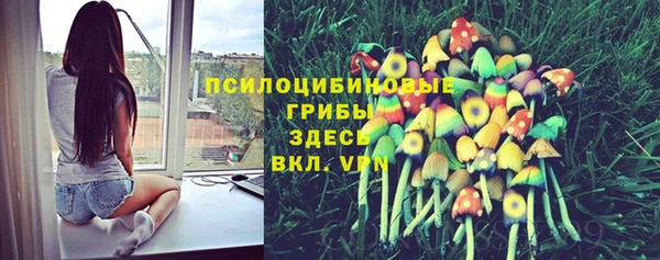дживик Карпинск
